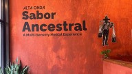 The Biennial of the Americas festival is back