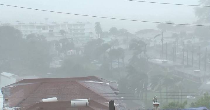 Veteran-led rescue group on standby to evacuate Americans from Jamaica