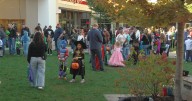 Families celebrate spooky fun at Hilldale