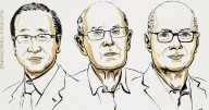 Nobel Prize in Chemistry awarded to three scientists for development of metal