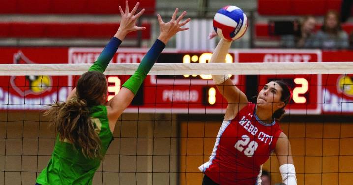 Cardinals sweep Irish in district quarterfinals