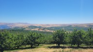 Gov. Kotek issues executive order placing climate lens on farms, forests, waterways