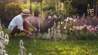 How To Prevent Accidentally Reseeding Grass In Your Flower Beds