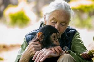 Jane Goodall: crusader for chimpanzees and the planet