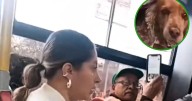 Video viral: Pasajeros reclaman a mujer que viajaba con su perro en autobús
