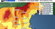 Fall foliage map shows where colors are peaking in New England as summer weather returns