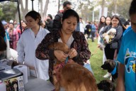 Parque de la Exposición será sede del festival gratuito más grande para mascotas en el país