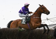 Jasko to give Cheltenham backers good opening Rodeo