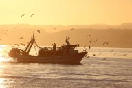 PRC y PP apoyan la propuesta de Vox para bajar el IVA del pescado al 4 por ciento