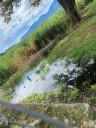 Laguna de aguas negras perjudica a vecinos de la UD