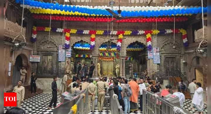 Banke Bihari toshkhana survey: Gold, silver bars, gemstones found in underground chamber, claim priests