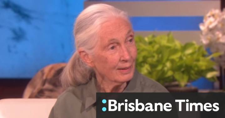 Video: Environmental activist Dr Jane Goodall on her love of animals and Tarzan