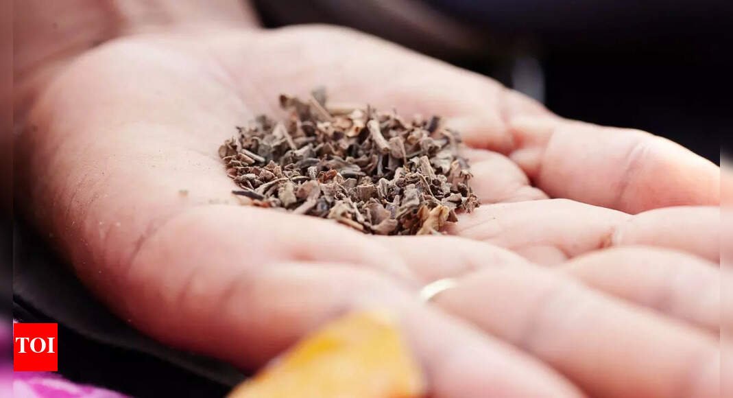 Chewing tobacco causes cancer faster than cigarettes