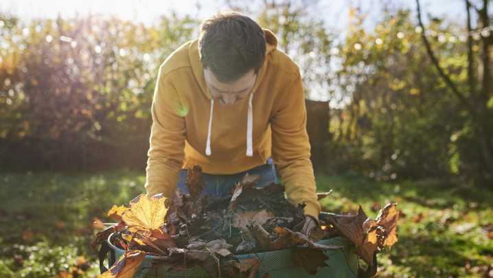 The Fall Garden Maintenance Task That Helps Protect Plants From Disease