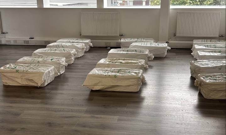 Snail farms run out of central London offices in £370k tax avoidance scheme