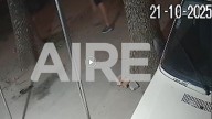 Femicidio en Loyola: así captó una cámara de seguridad al asesino tras matar a su expareja