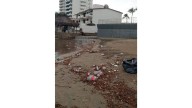 Las playas de Mazatlán también amanecieron con basura por las lluvias