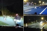 Shocking video shows small child running down Florida highway