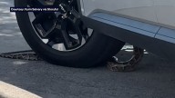 Video: Florida snake slithers into car while driver waits in drive
