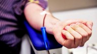 Maharashtra appoints coordinator to manage shortage and wastage of blood across districts