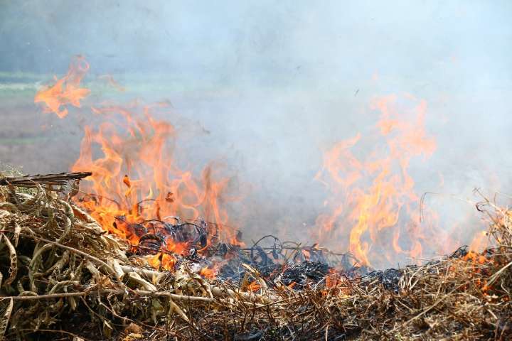 New York Declares 14-Day Statewide Burn Ban—Dry Conditions Push Wildfire Risk Higher