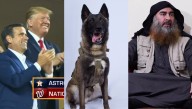 Trump Gets Dems To Interrupt Baseball, Condemn Dogs, Side With Terrorists All Within 24 Hours