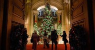 'Spectacular' Christmas lights trail at breathtaking palace returns this winter