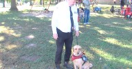 5K raises support for veterans and their service dogs