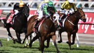 Payne's goosebumps at thought of more female Cup glory