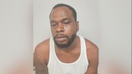 Baldwin man arrested for multiple sex crimes against 10