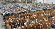 Amazon ofrece 250,000 empleos para Navidad en EE.UU: Esto es lo que debes saber