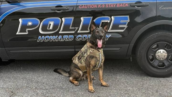 Howard County police dogs sport new safety vests