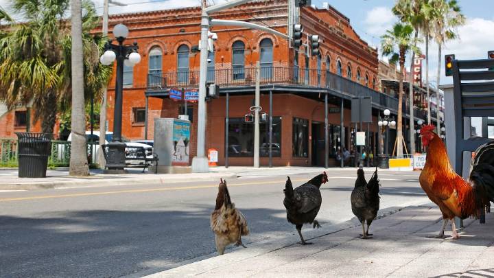 As Ybor City turns 140, we look back at Cigar City history