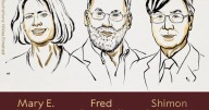 El Premio Nobel de Medicina 2025 fue para tres investigadores del sistema inmunitario