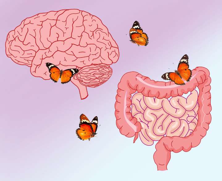 El eje intestino-cerebro que influye en nuestra salud mental y física