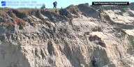 Dog wags its tail, kisses rescuers after it’s plucked from the side of a cliff