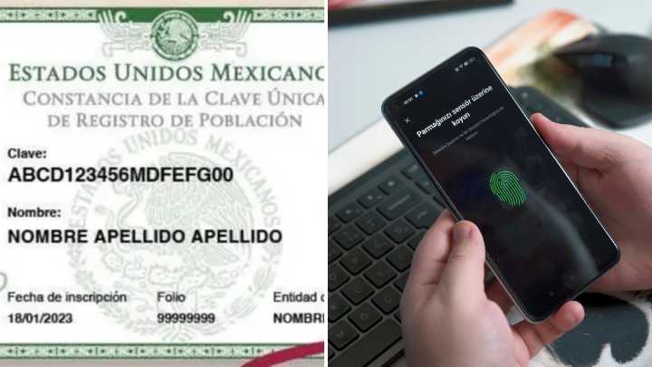 Entra en vigor la CURP biométrica; será válida a partir de febrero de 2026