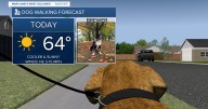 A cooler day filled with sunshine!