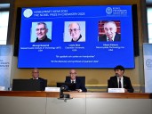 Premio Nobel de Química a tres científicos por el desarrollo de estructuras metalorgánicas: qué son y para qué se usan
