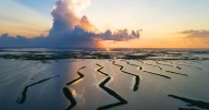From the Bay to the bayou: Why photographer Philip Gould stayed to capture Louisiana