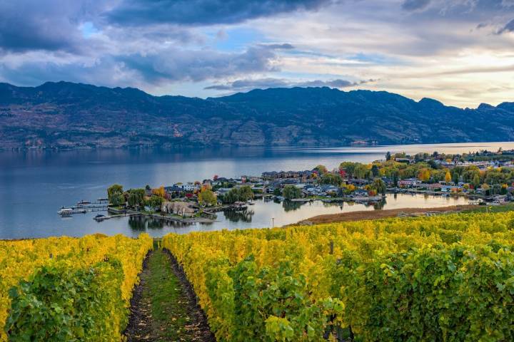 Kelowna has been named Canada’s first UNESCO ‘City of Gastronomy’