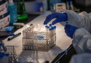 Un 'virus de tripa' con fiebre corre por Zaragoza mientras repunta una variante de Covid