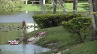 Girl dies after being pulled from lake in Oakland Park, authorities say