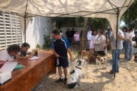 Kenia López plantea presentar iniciativa para deducir gastos veterinarios y eliminar IVA a alimentos de mascotas