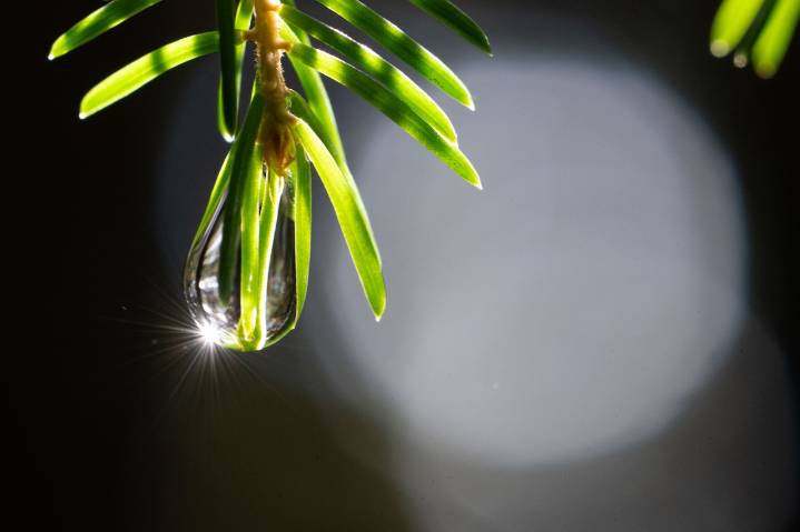 Mass. weather: Sunny weekend gives way to rain, winds starting Sunday night