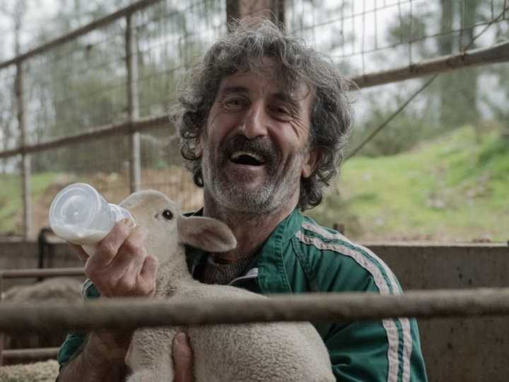 Luis Zahera, el hombre del momento en Netflix por su rol en Animal: otras 5 series y películas con el actor para ver en plataformas
