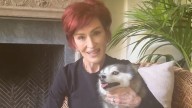 Sharon Osbourne Mourns Death of Her Dog Elvis