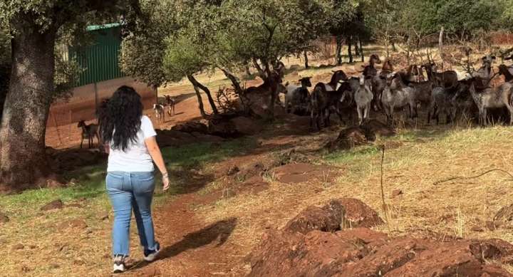 'De sus raíces, nuestro futuro': las mujeres rurales alzan la voz en Extremadura