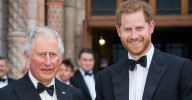 Royal expert on Prince Harry's big mistake after meeting with King Charles