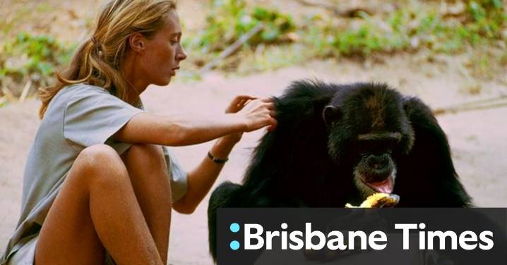 Famed conservationist Jane Goodall dies aged 91
